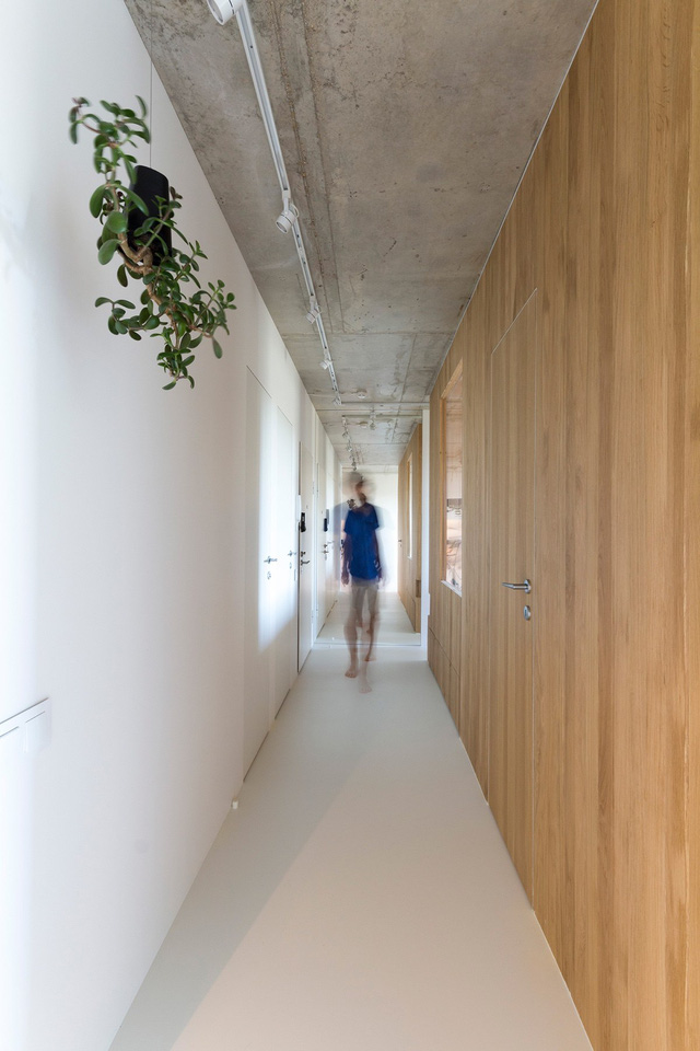 Sự kết hợp giữa trần bê tông thô và hệ kệ gỗ tạo nên cảm giác giản dị mà vô cùng gần gũi cho những ai bước chân vào ngôi nhà này. Trong ảnh là lối vào nhà được trang trí bởi cây xanh. 